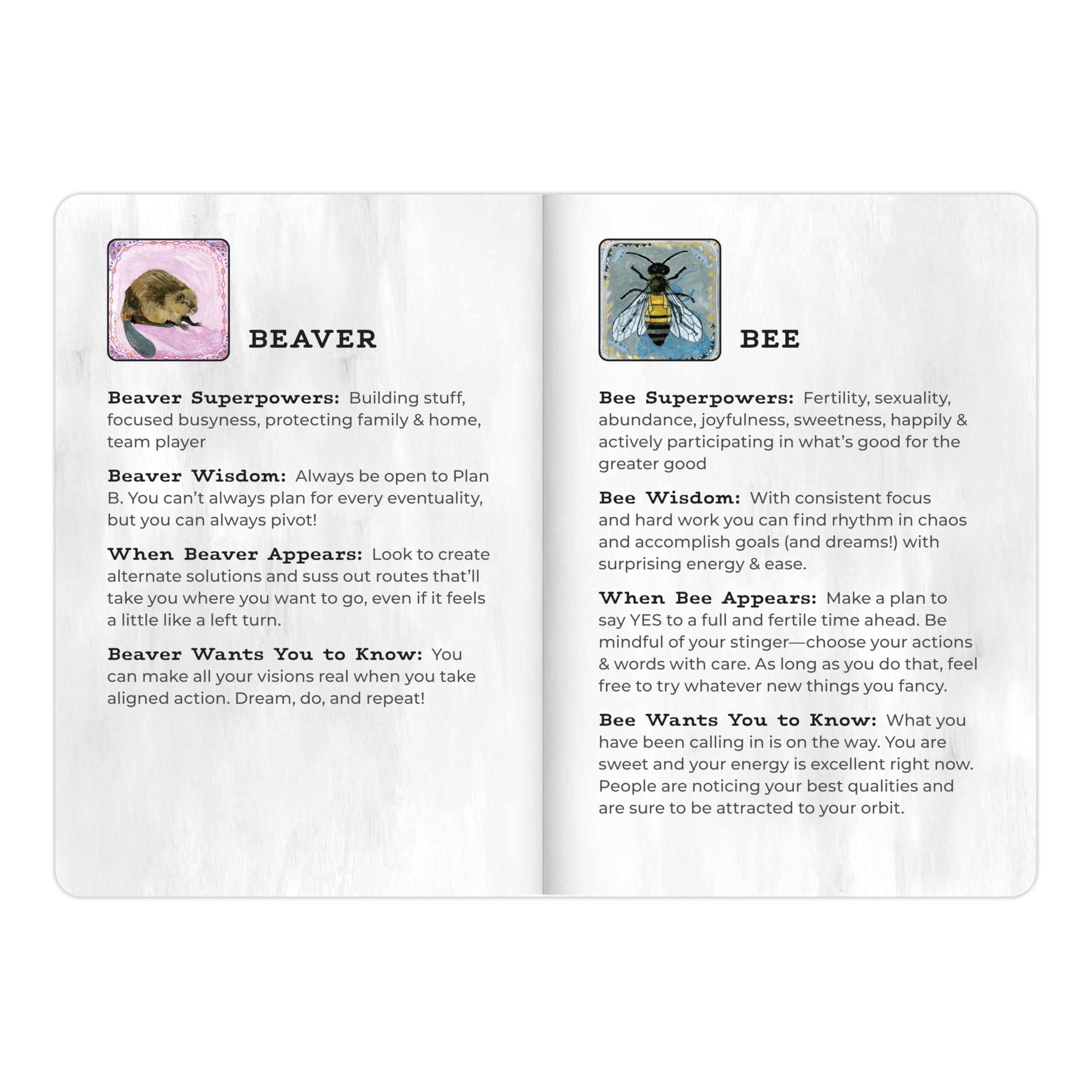 Animal Allies Oracle Deck: A Magical 50-Card Oracle Deck with Guidebook (Em & Friends Animal Allies Decks) - Image 10