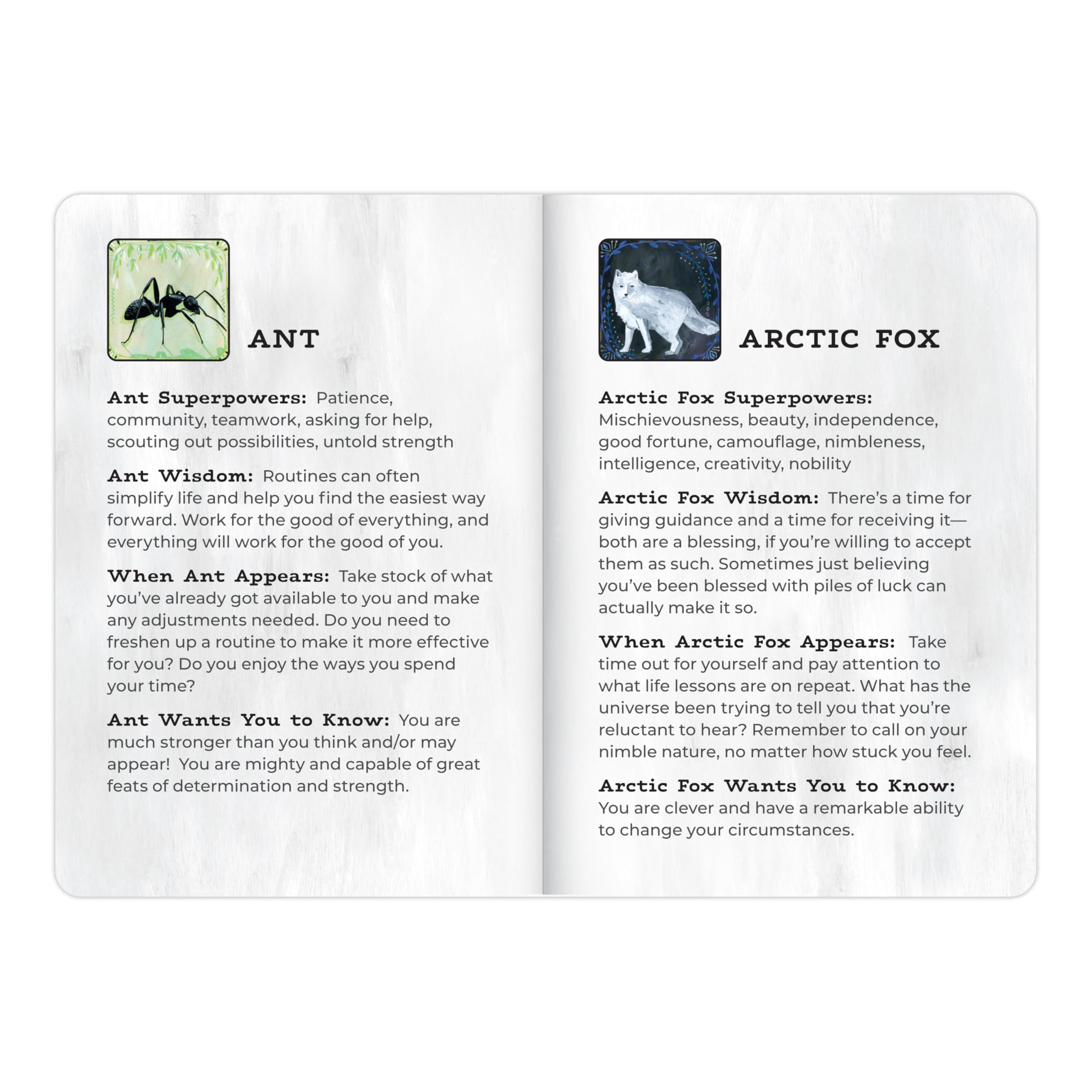 Animal Allies Oracle Deck: A Magical 50-Card Oracle Deck with Guidebook (Em & Friends Animal Allies Decks) - Image 8