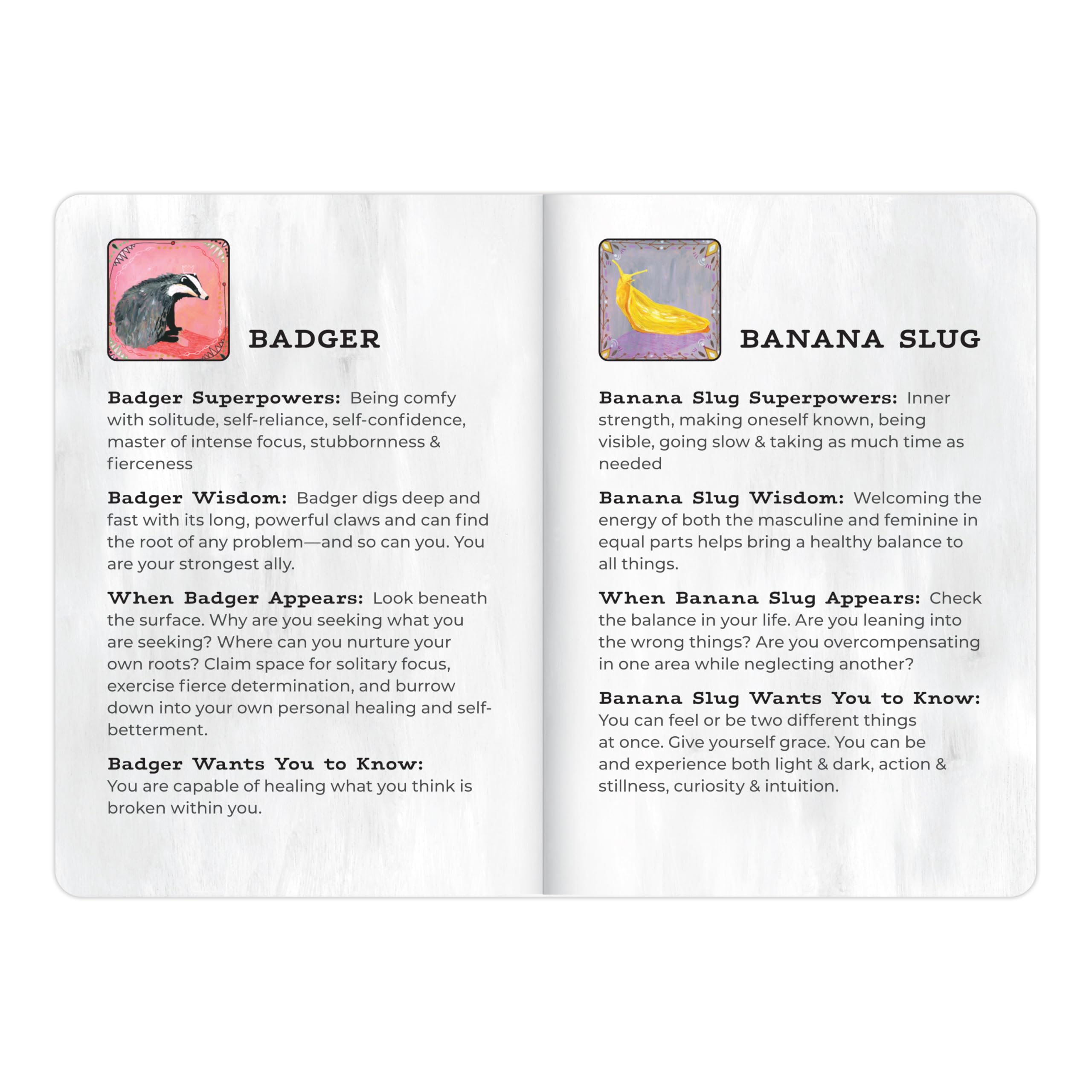 Animal Allies Oracle Deck: A Magical 50-Card Oracle Deck with Guidebook (Em & Friends Animal Allies Decks) - Image 9