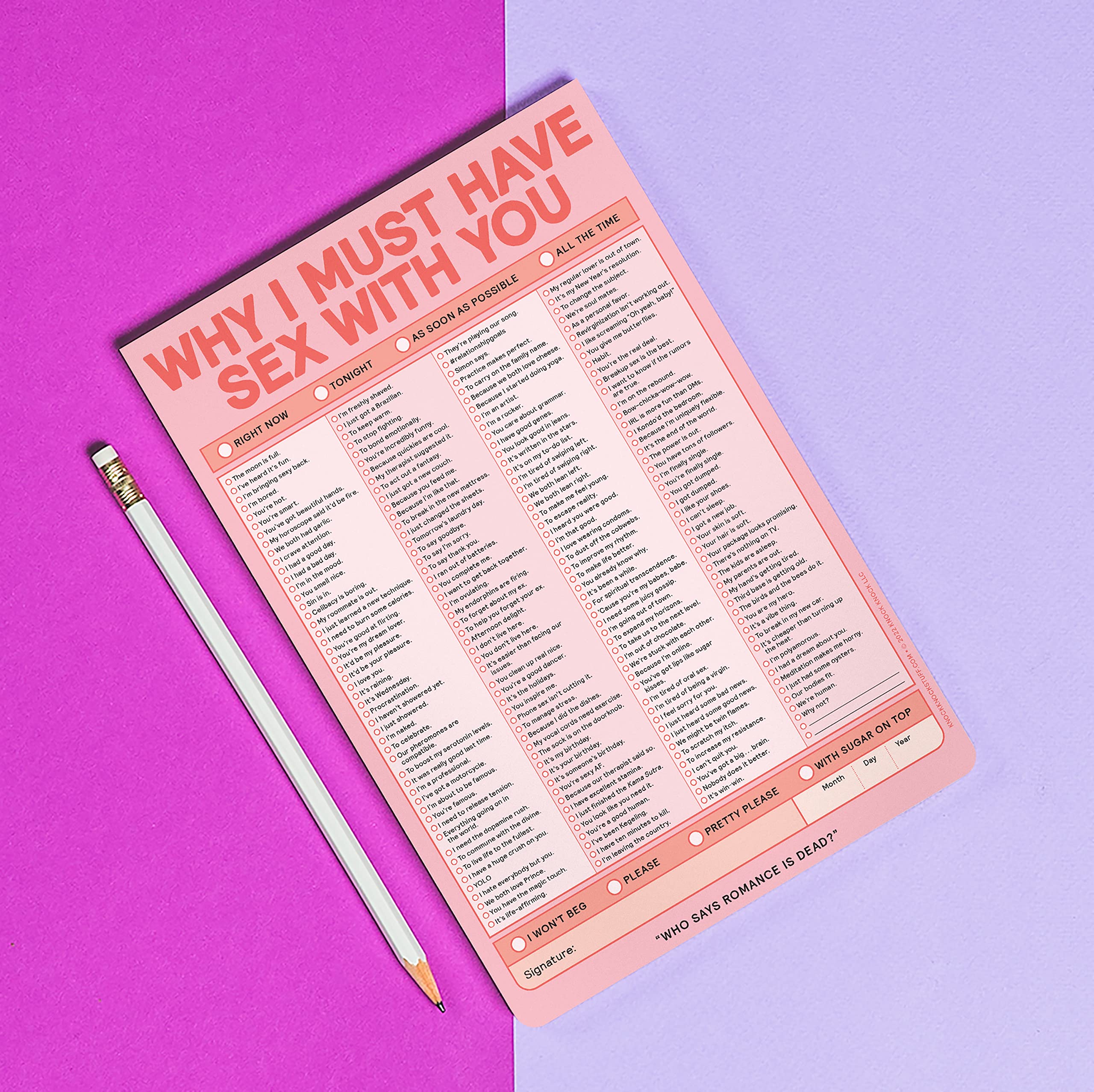 Knock Knock Why I Must Have Sex With You Pad, Sexy Checklist Note Pad, 6 x 9-inches (Pink/Red) - Image 6
